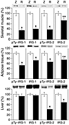 Effect of resistin on tyrosine phosphorylation of IRS-1 (pTy–IRS-1) and IRS