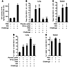 IDO induces cell death of a Th2 cell line and inhibits experimental asthma