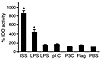 Induction of IDO by various TLR ligands. BALB/c mice (four mice per group)