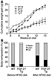 FGF-21–transgenic mice are resistant to diet-induced weight gain and fat ac