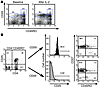 Expansion of naive CD4+CD25+ cells after IL-2 administration. (A) Represent