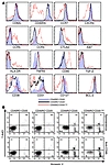 CEN cells in IL-2–treated patients have distinct phenotypic features compar