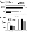 CEN cells require costimulation for proliferation and can weakly suppress C