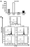 CEN cells from IL-2–treated patients exert weak suppression compared with t