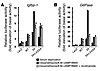 Nicotinamide inhibits FoxO1-dependent induction of a rep