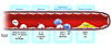 Hypothetical model of atherogenesis triggered by platelets. Activated plate