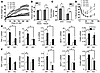 Female mice lacking TLR4 show increased obesity but are partially protected