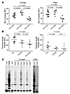 Constraints on CD4+ CD25hi