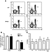 WASp is not required for generation of Tregs within the thymus.