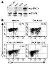 MYCN neither activates STAT3 nor affects DC phenotype.