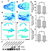 Pharyngeal cartilage changes in 108-hpf morphants and quantitative morphome