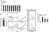 Inhibition of Notch signaling impairs growth of CCRCC cells.