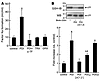 TF activation requires reduced PDI.