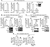 IL-6/Notch-3 cross-talk enhances the invasive potential of MS and MCF-7 cel