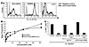 Binding and biological activity of recombinant CD1d molecules.