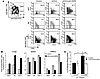 The αGalCer/sCD1d–anti-HER2 fusion protein redirects iNKT, NK, and T cells