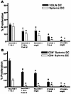 CD11c+ DCs isolated from mice treated with the neu-expressing, GM-CSF–secre