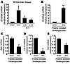 EMT markers are upregulated in rat cholangiocytes when biliary fibrosis is