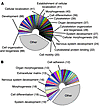 Soluble factors released by myofibroblasts change the gene expression profi