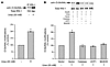 Urea-induced ROS increase IRS-1 modification by O-GlcNAc in 3T3L1 adipocyte