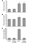 Treatment of uremic mice with a SOD/catalase mimetic normalizes hyperinsuli