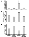 Treatment of uremic mice with a SOD/catalase mimetic normalizes oxidative s