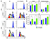 rhIL-21 induces T cell proliferation in vitro.