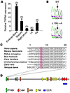 TRPM4 missense mutation in exon 1 associated with PFHBI.