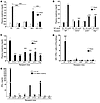 Both IL-12/IFN-γ and IL-23/IL-17 pathways are necessary in activated NKT ce