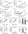 Loss of urinary concentrating ability in V2R-KO mice.