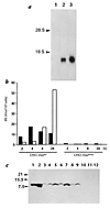 CHO cell lines expressing either wild-type or mutant insulin 2. (a) Norther