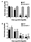 CCK-8 induced inhibition of food intake is mediated through the CCK-A recep