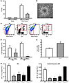 CCR2 mediates the recruitment of HSCs/HPCs to the peritoneum.