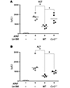 Adoptive transfer of CCR2+Lin– BM cells reduces APAP liver injury.