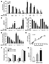 Metformin reduces energy state in primary hepatocytes and in liver of C57BL