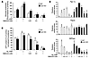 Metformin inhibits gluconeogenesis in LKB1-deficient mouse hepatocytes.