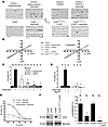 MitoKATP single-channel activation by diazoxide (100 μM) is dependent on th