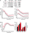 Elevated blood pressure in TRPM4-deficient mice.