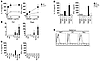 NKT cell–dependent IL-12 and IFN-γ production by liver MNCs in response to