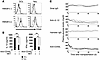 Involvement of CD40-CD40L interaction in production of IL-12 and IFN-γ in e