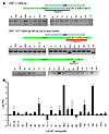 Identification of a novel AR splice variant.