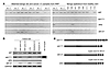 Expression of the splice variant ARv567es in human prostates.