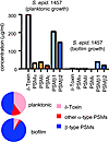 PSM production under biofilm and planktonic modes of growth.