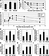 Suppression of IKKβ with NS restores insulin sensitivity via ceramide inhib