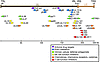 CMV genome.