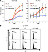 MCV sT promotes serum-independent human BJ-TERT cell proliferation.