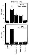 Chlamydial and human HSP 60s induce IL-6 production by endothelial cells. (