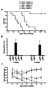 Life span and behavioral testing. (a) Survival of the Hexb–/– mice with dif