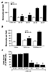 Agents that block monocyte/endothelial interactions in vitro. HAEC were sti