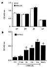 MM-LDL increased the activation of β1 without increasing the total amounts